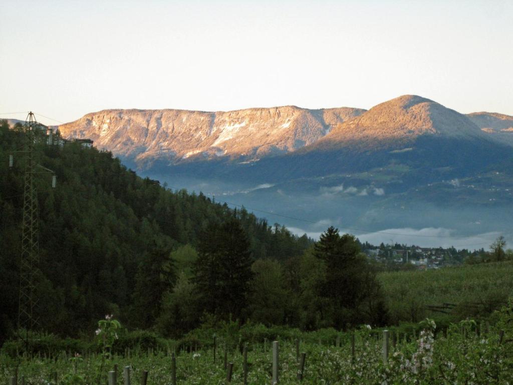 Pension Thalerhof Rifiano Exteriér fotografie